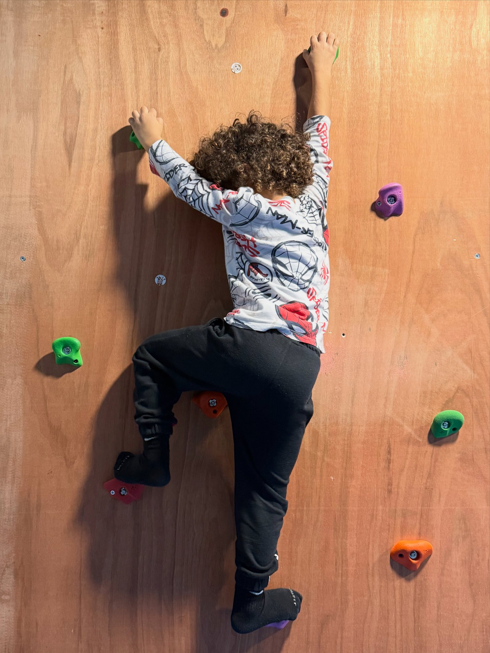 ΑΝΑΡΡΙΧΗΣΗ 