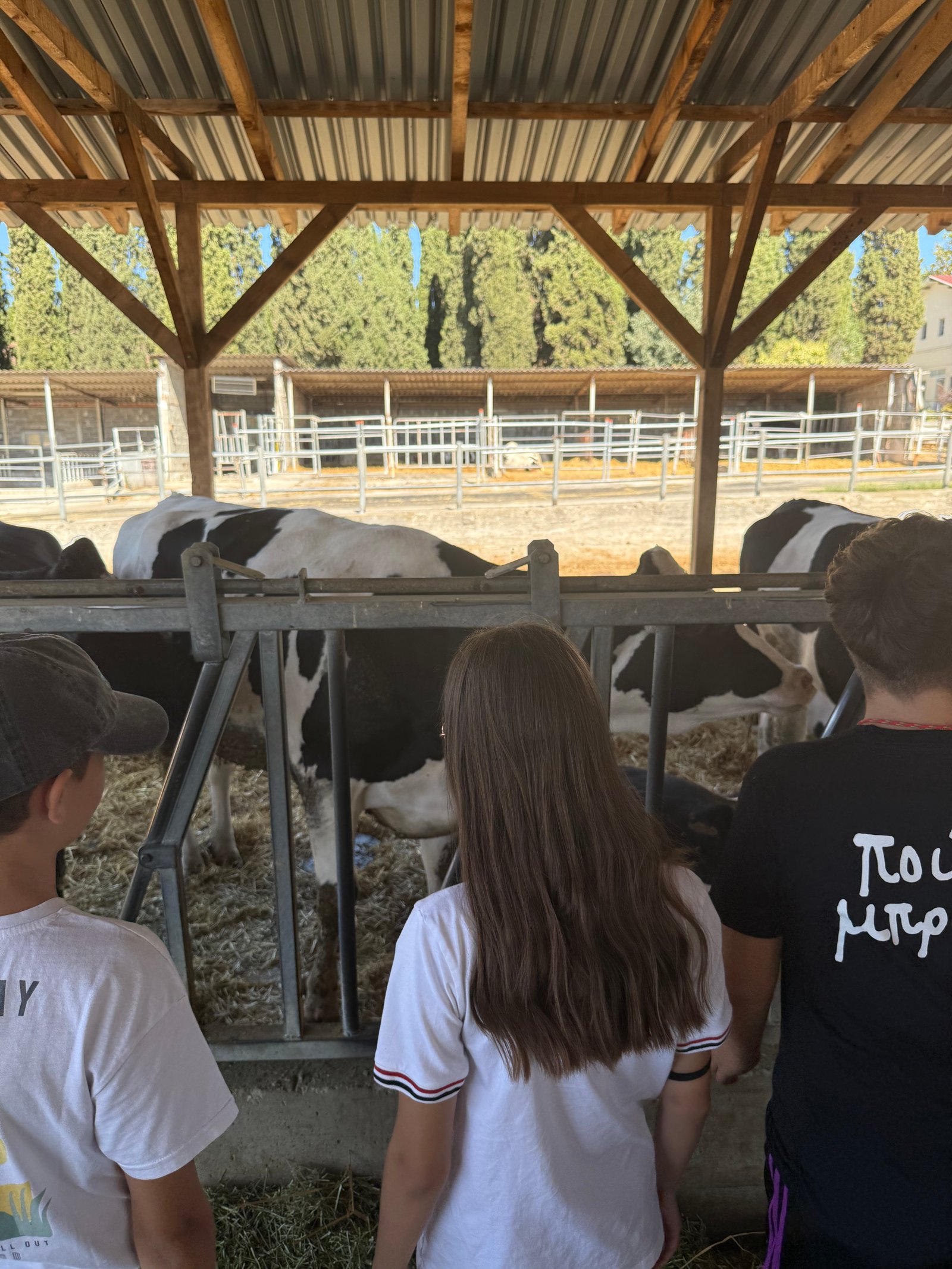 ΕΠΑΦΗ ΜΕ ΤΑ ΖΩΑ 